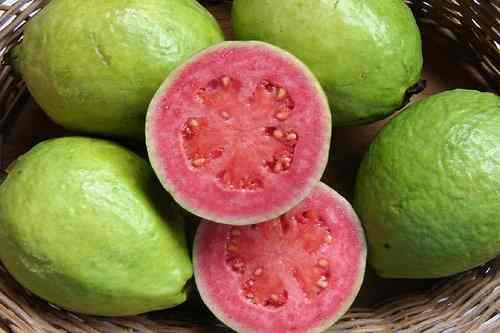 Guava-Гуава.jpg