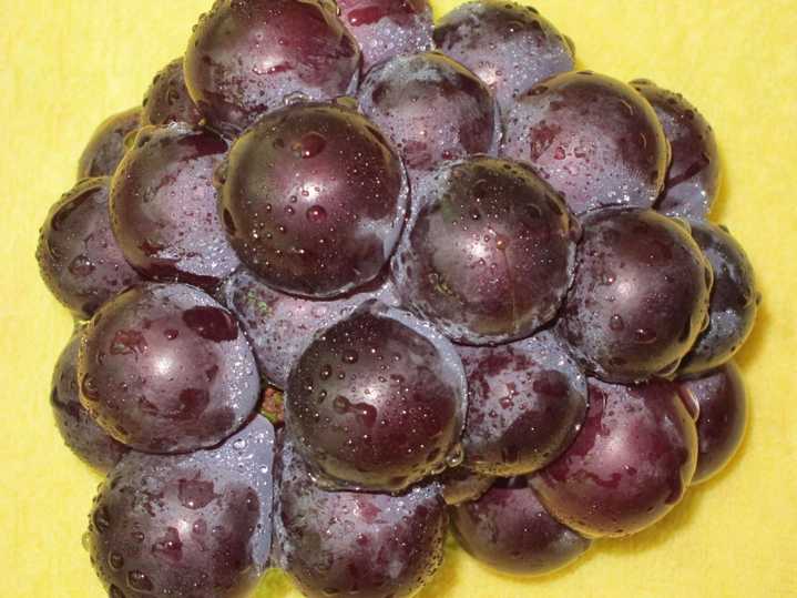 Хайнаньский виноград.jpg