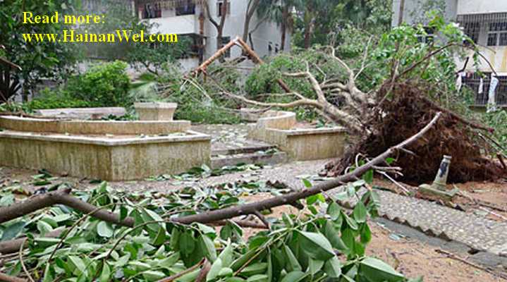 Typhoon Nesat-Тайфун Несат-2011-7.jpg