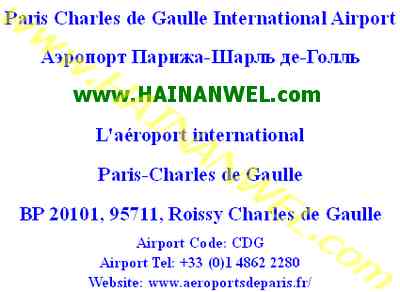 Paris Charles de Gaulle International Airport.jpg
