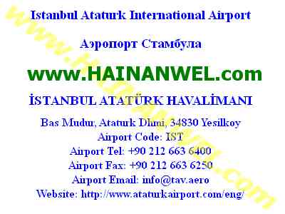 Istanbul Ataturk International Airport.jpg