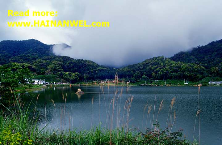 Hainan Jianfengling National Rainforest Park- Хайнаньский национальный лесной заповедник 6.jpg